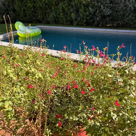 Magnifique Villa, Piscine, Proche Plage, 8 Personnes *