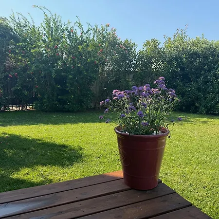 Belle Villa Climatisee, Piscine Chauffee, Proche Plage, 8 Personnes *